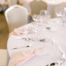 Marhuľový príručník