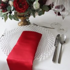 Červený príručník