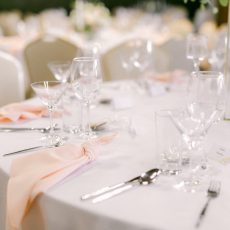 Marhuľový príručník