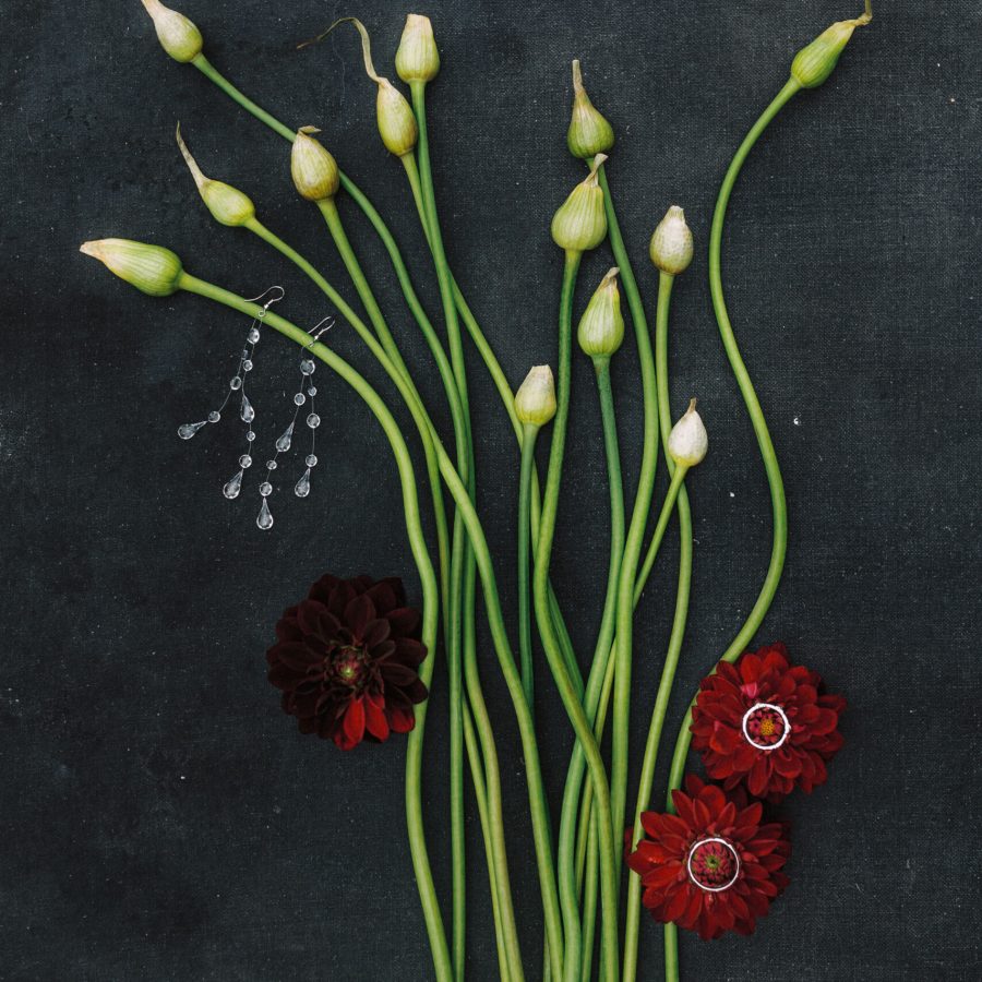 svadobná agentúra Slovensko