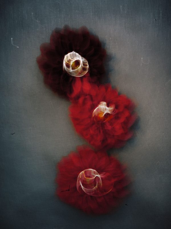 svadobná agentúra Slovensko - služby